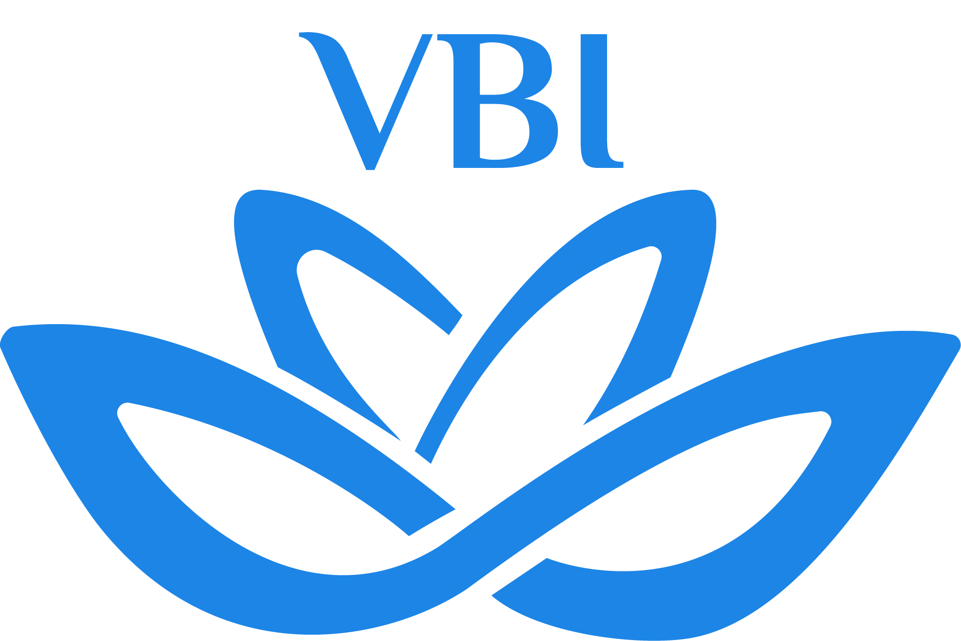 VietBi Dental Clinic